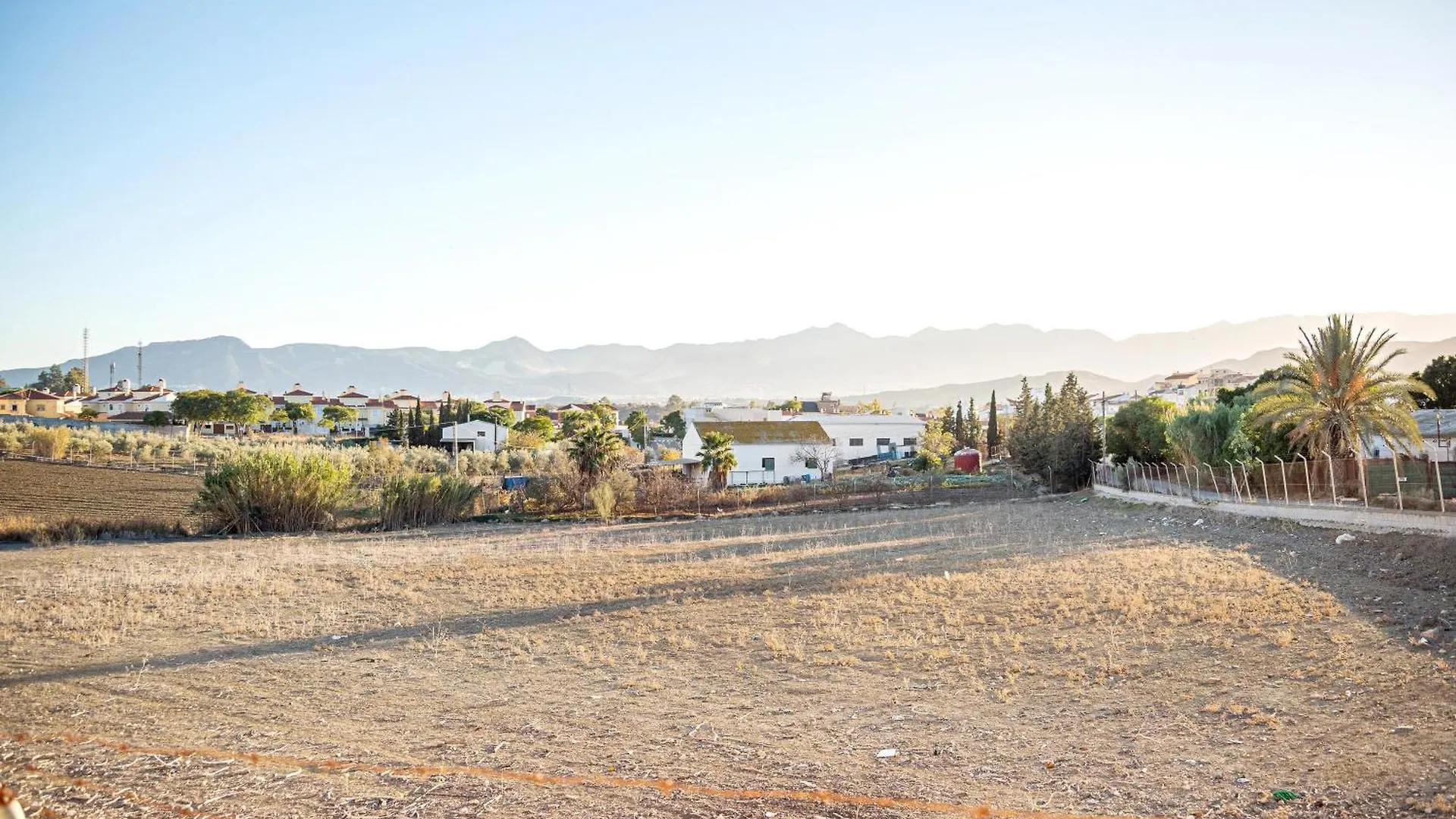 Limon Lunero Malaga